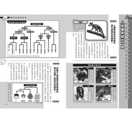 哆啦A夢科學任意門19：人類演化追蹤槍